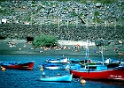 La Gomera, Hafen und Strand von Vueltas. : Hafen, Boote, Strand, Badegäste